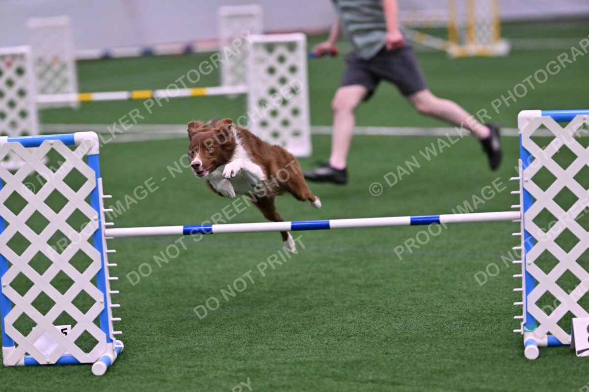 Supernova-James-Nutter-06961