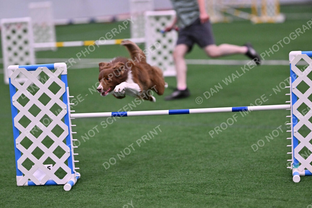 Supernova-James-Nutter-06962