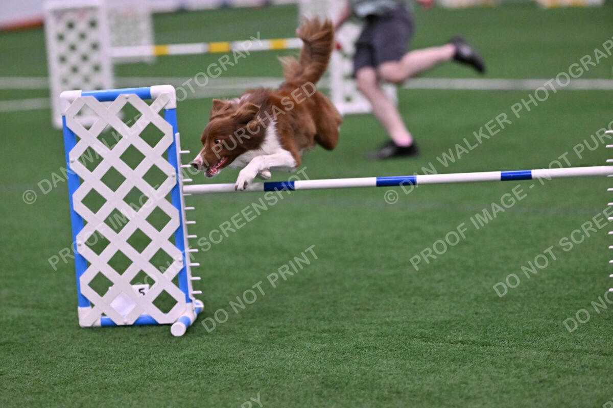 Supernova-James-Nutter-06963