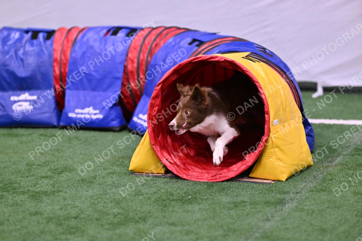 Supernova-James-Nutter-06967