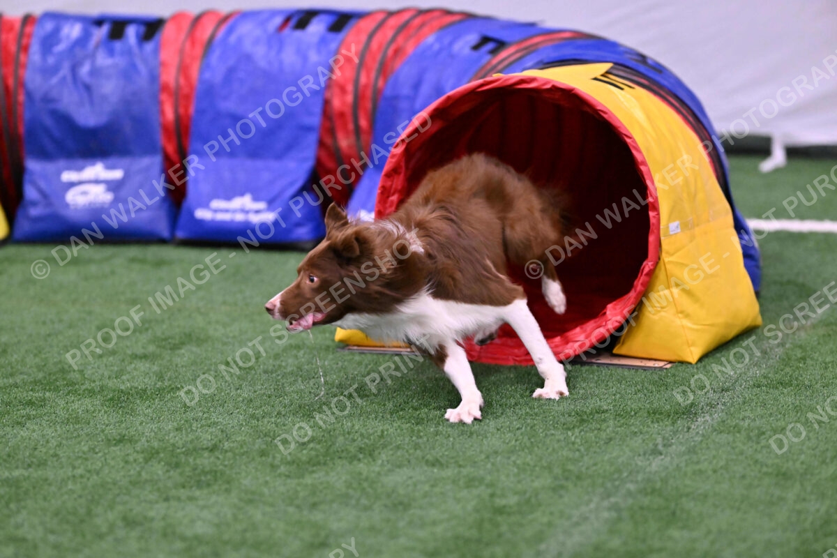 Supernova-James-Nutter-06969