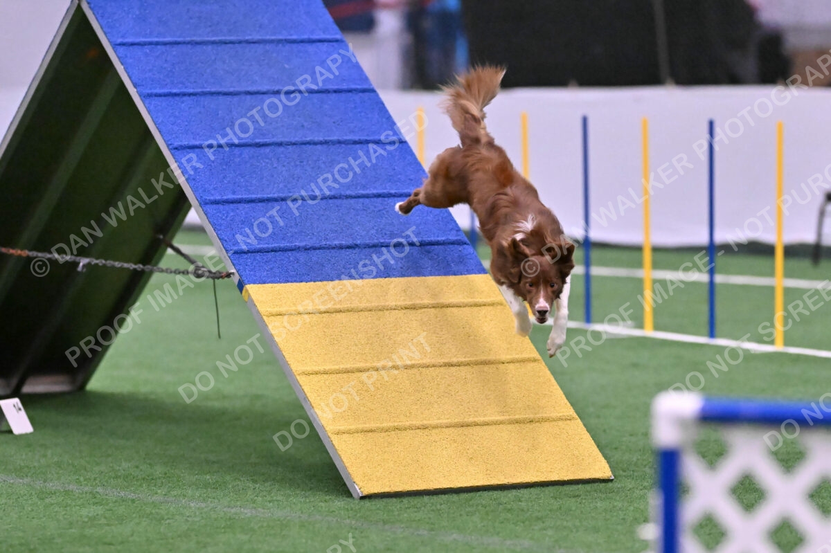 Supernova-James-Nutter-06988