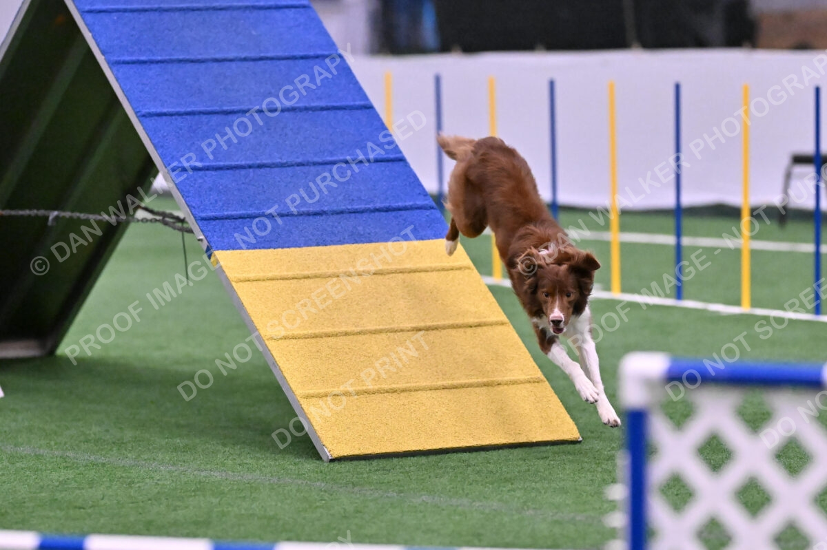 Supernova-James-Nutter-06989