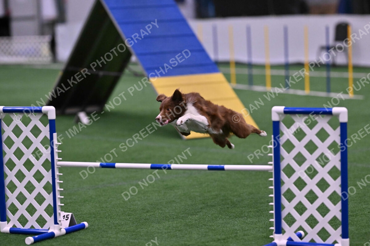 Supernova-James-Nutter-06993