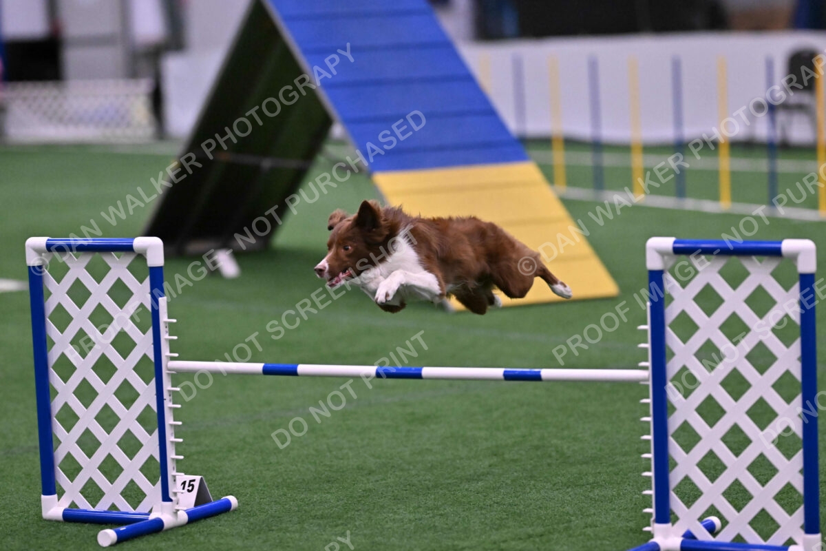 Supernova-James-Nutter-06994