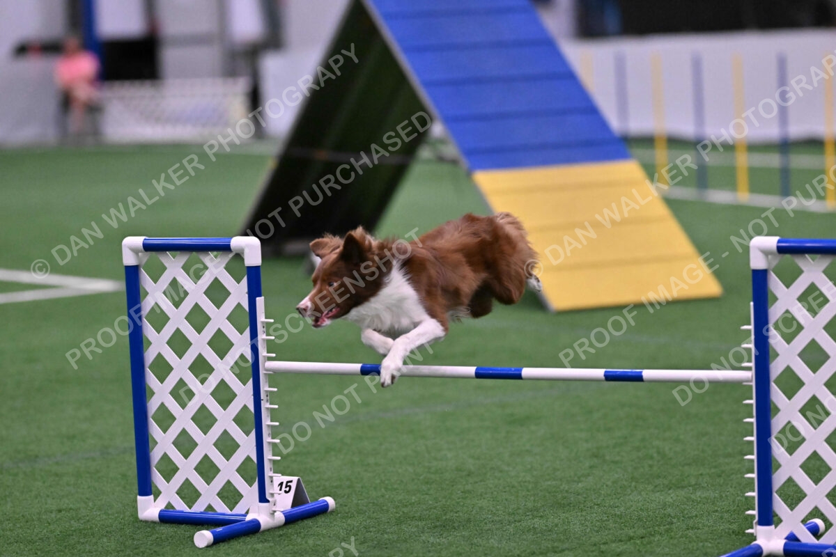 Supernova-James-Nutter-06995