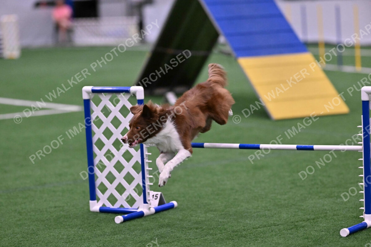 Supernova-James-Nutter-06996