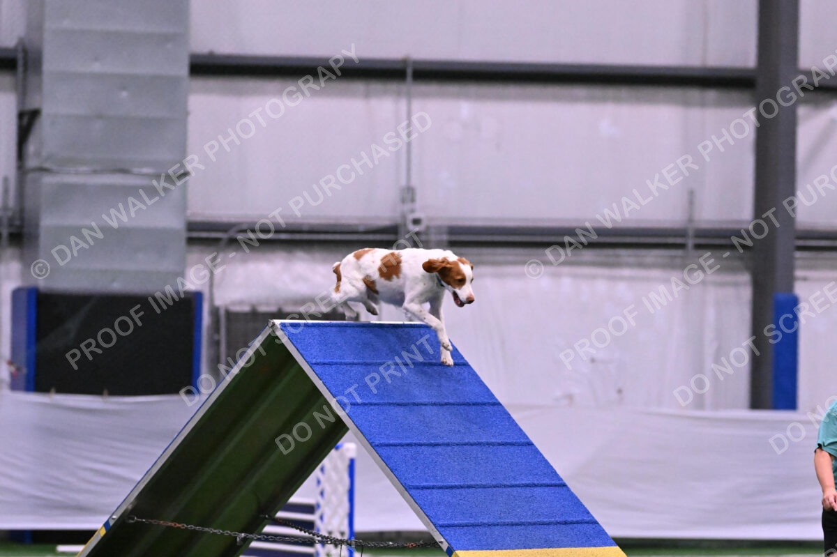 Tango-Sharon-Meek-09267