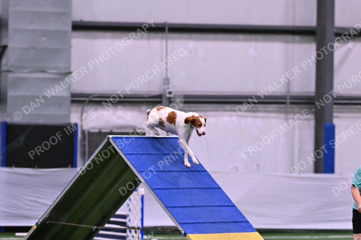 Tango-Sharon-Meek-09268