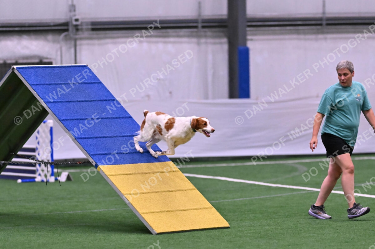 Tango-Sharon-Meek-09274