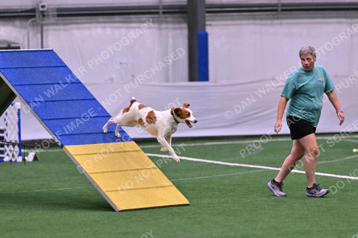 Tango-Sharon-Meek-09275