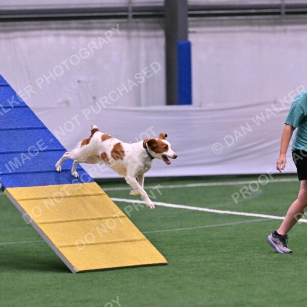 Tango-Sharon-Meek-09275