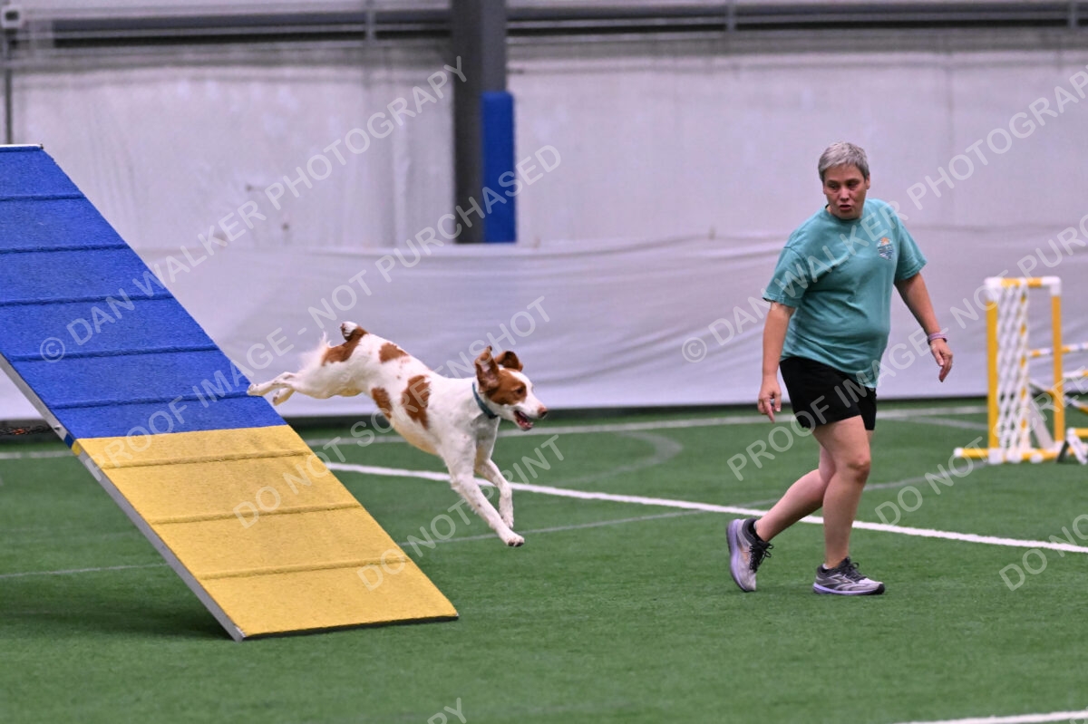 Tango-Sharon-Meek-09276