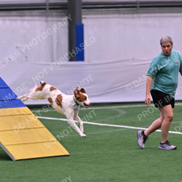 Tango-Sharon-Meek-09276