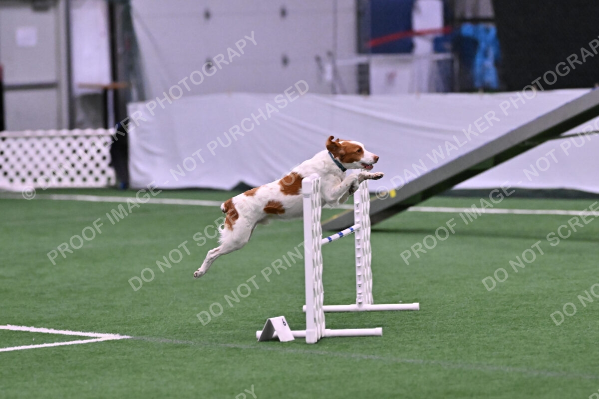 Tango-Sharon-Meek-09281