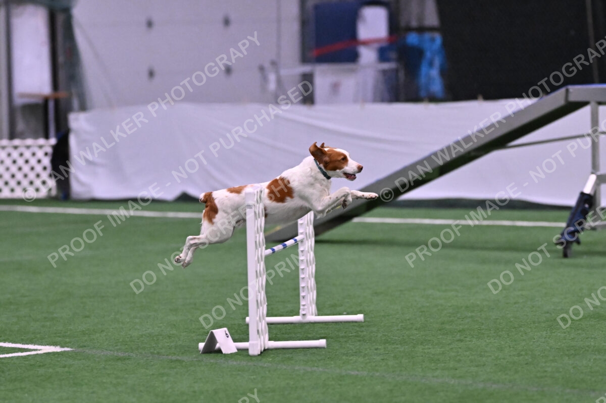 Tango-Sharon-Meek-09282