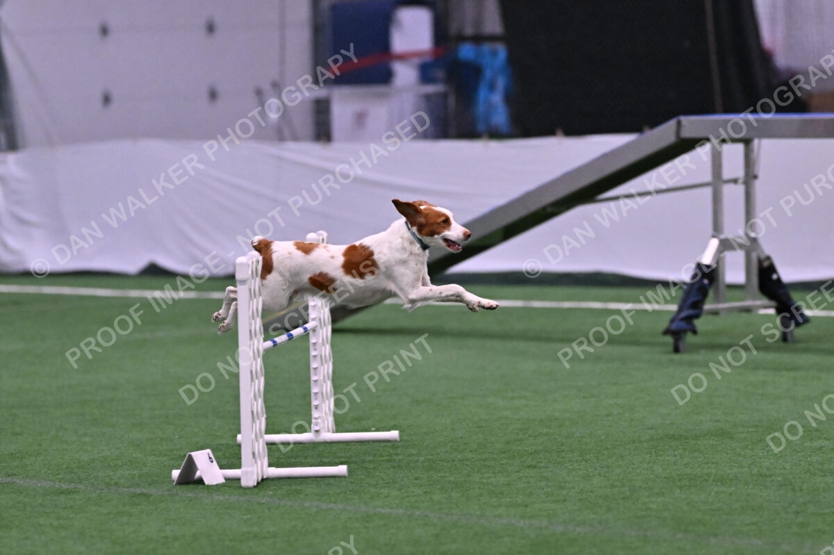 Tango-Sharon-Meek-09283