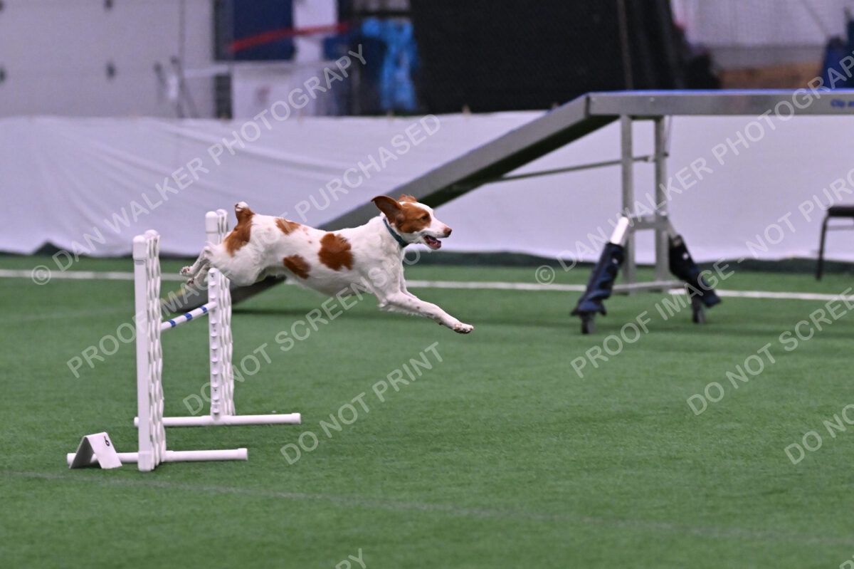 Tango-Sharon-Meek-09284