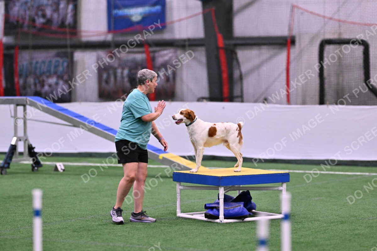 Tango-Sharon-Meek-09285