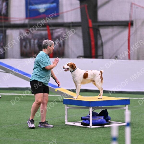 Tango-Sharon-Meek-09285