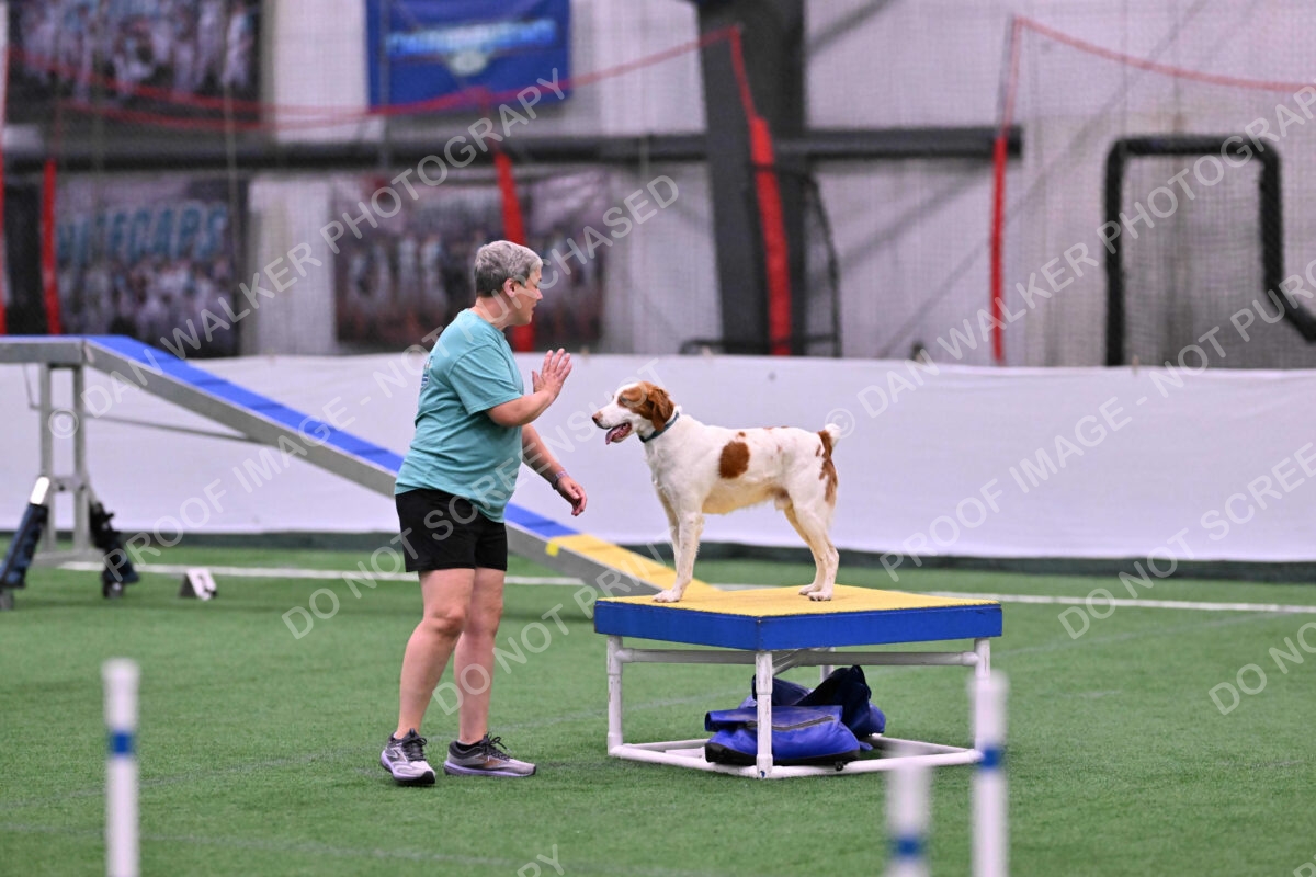 Tango-Sharon-Meek-09286