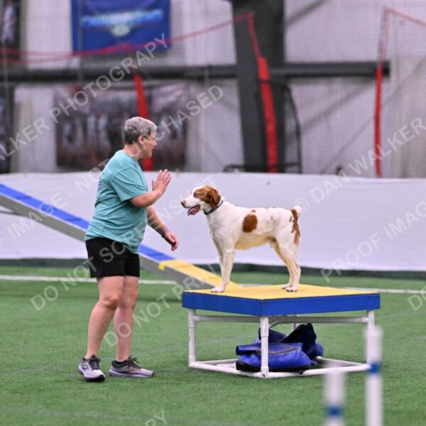 Tango-Sharon-Meek-09286