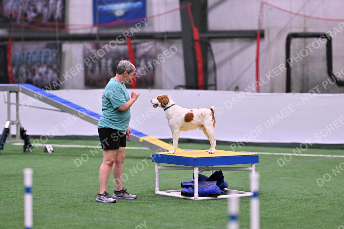 Tango-Sharon-Meek-09292