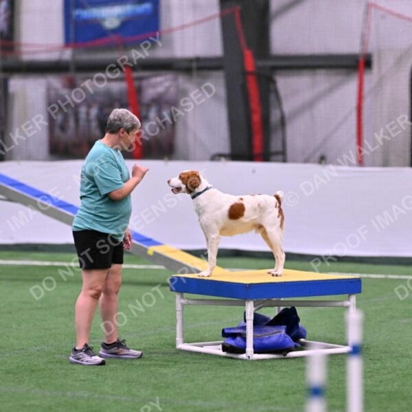 Tango-Sharon-Meek-09292