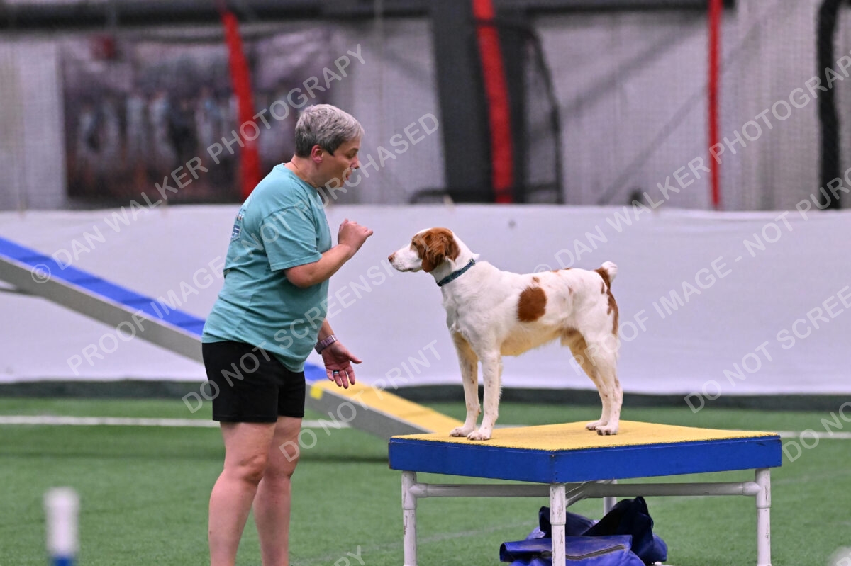 Tango-Sharon-Meek-09296