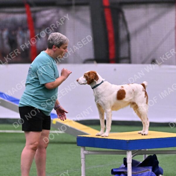 Tango-Sharon-Meek-09296