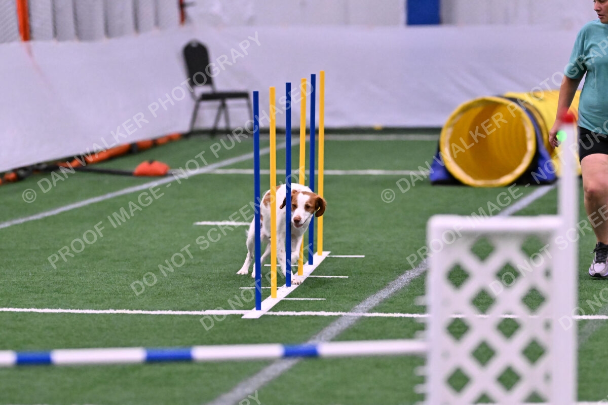 Tango-Sharon-Meek-09312