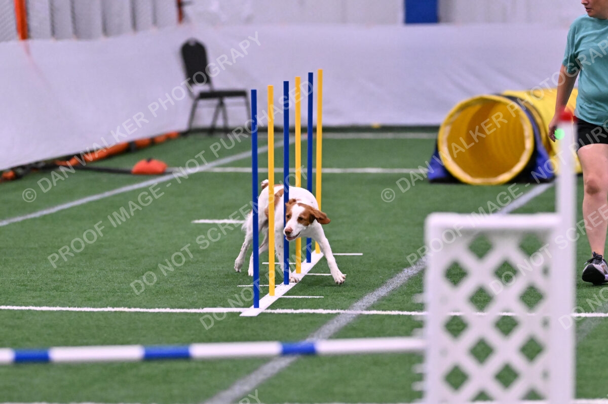 Tango-Sharon-Meek-09313