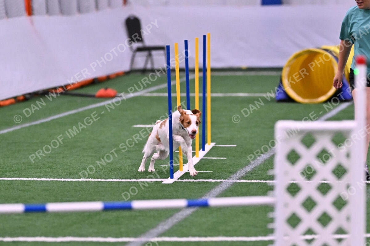 Tango-Sharon-Meek-09320