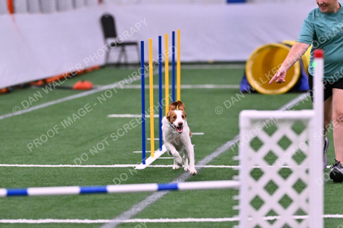 Tango-Sharon-Meek-09323