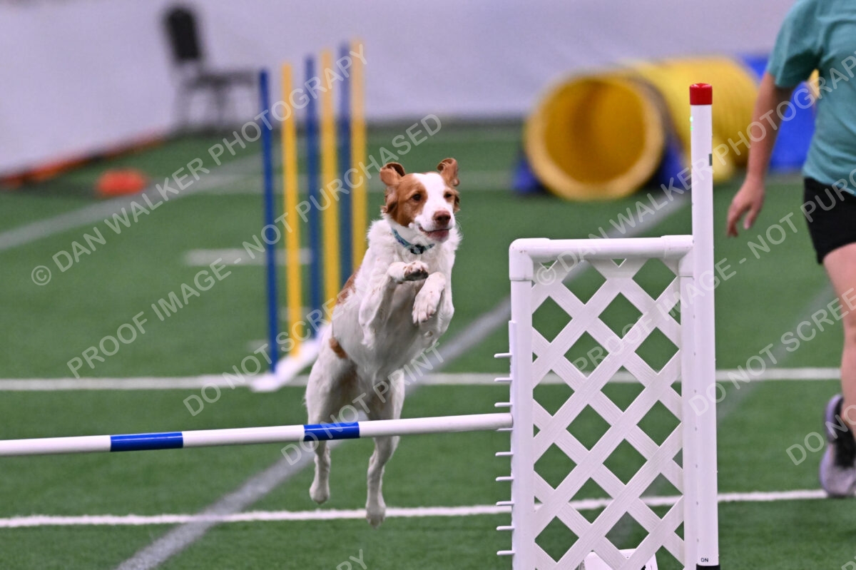 Tango-Sharon-Meek-09330