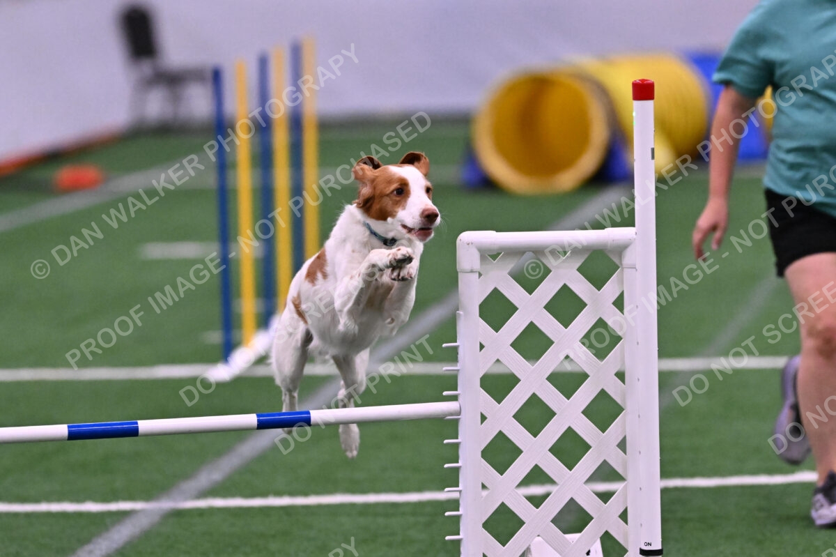 Tango-Sharon-Meek-09331