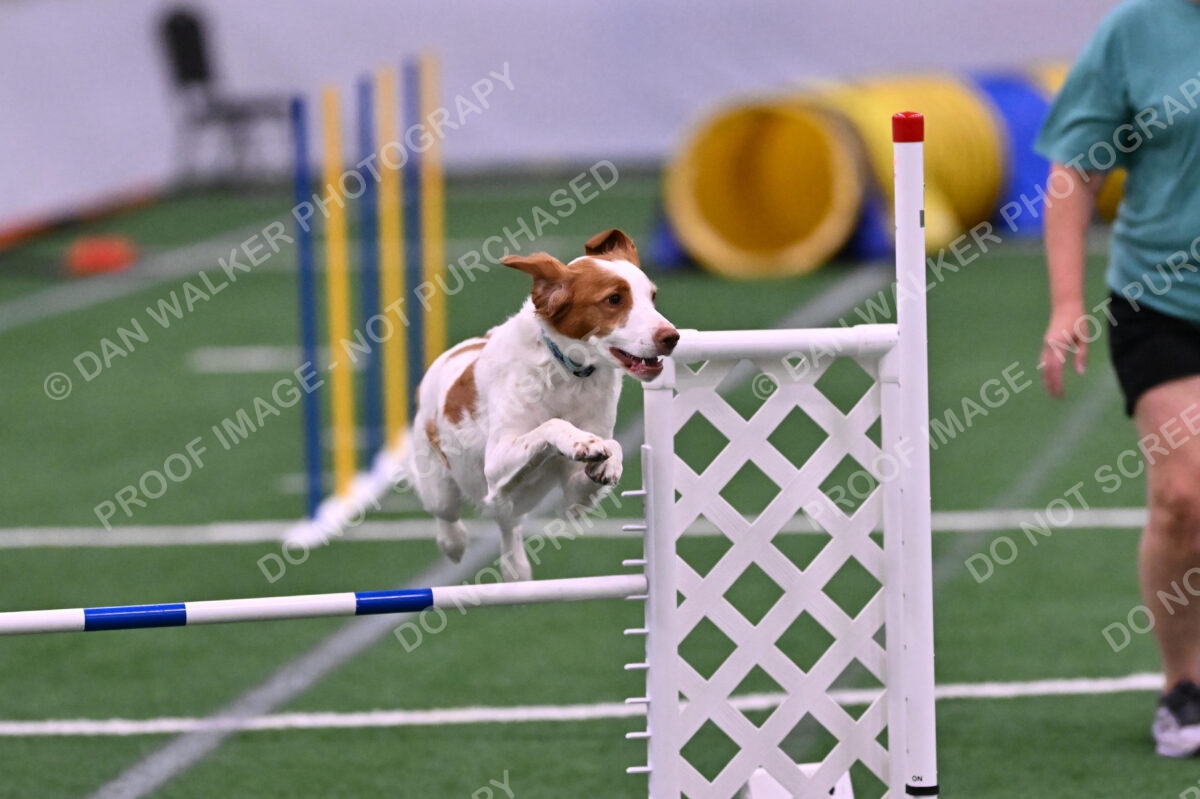 Tango-Sharon-Meek-09332