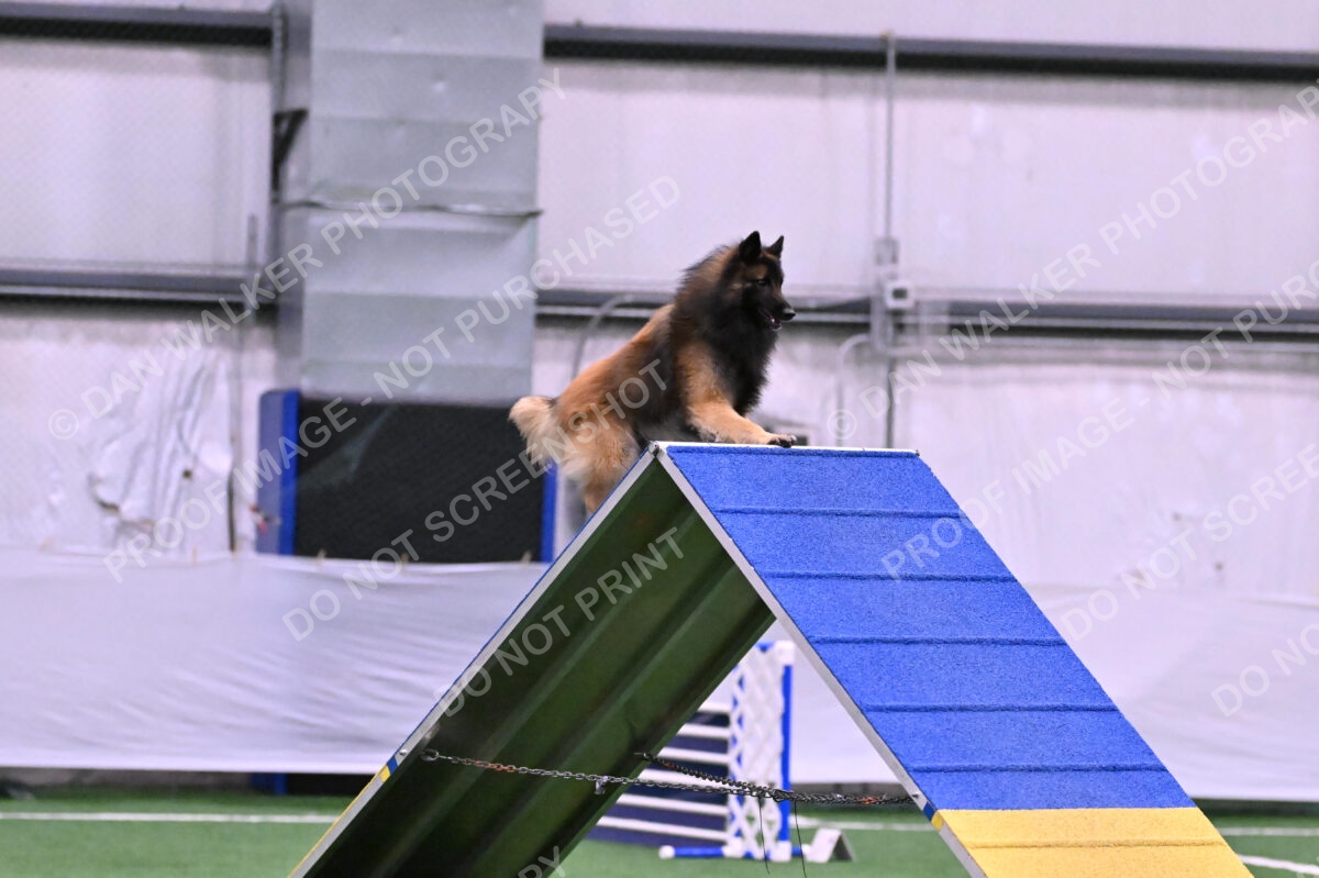 Tango-Sharon-Meek-09335