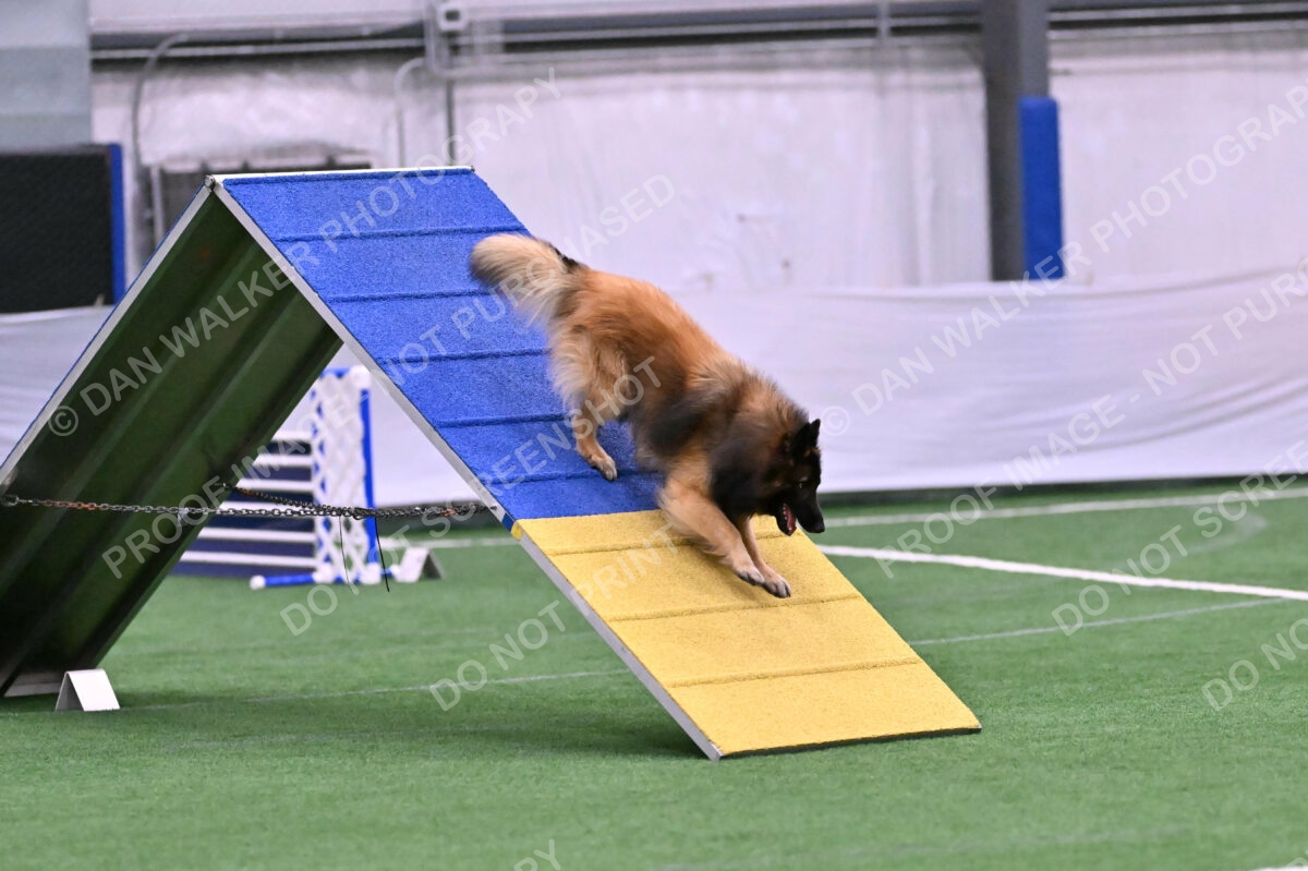 Tango-Sharon-Meek-09342