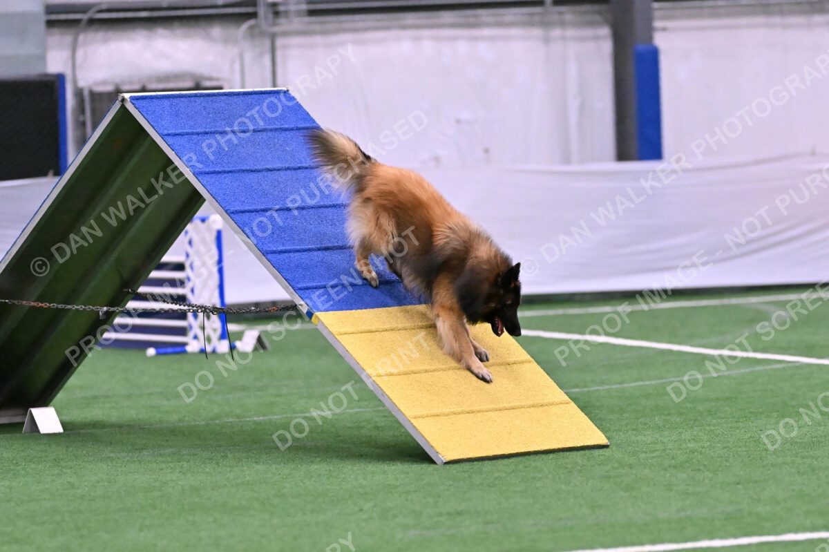 Tango-Sharon-Meek-09343