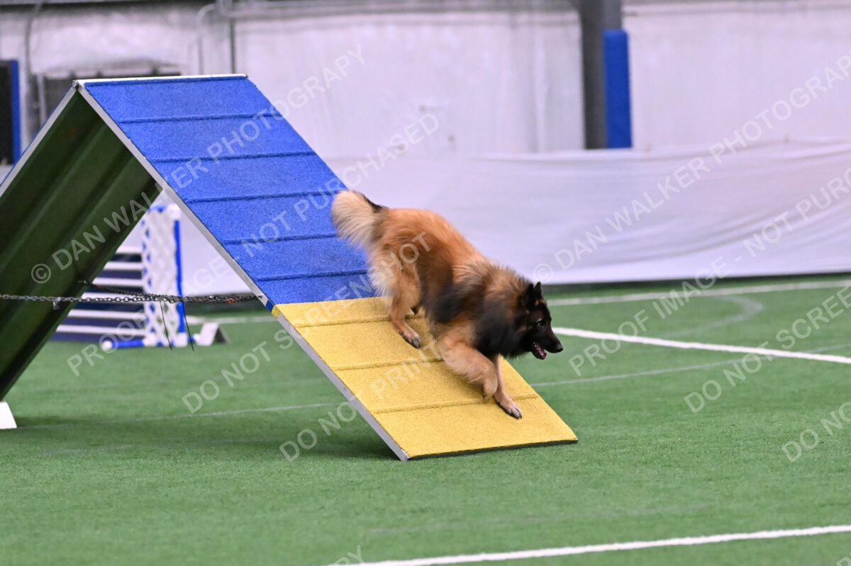 Tango-Sharon-Meek-09347