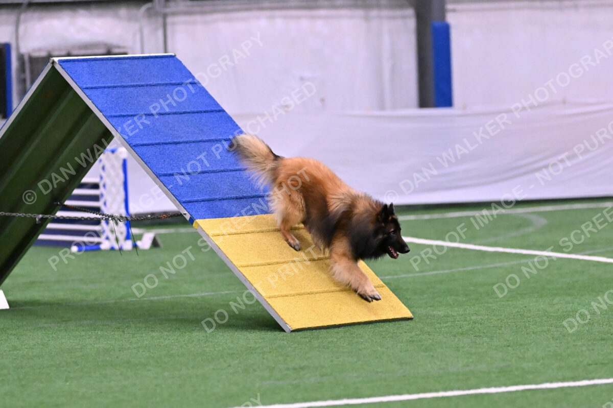 Tango-Sharon-Meek-09348