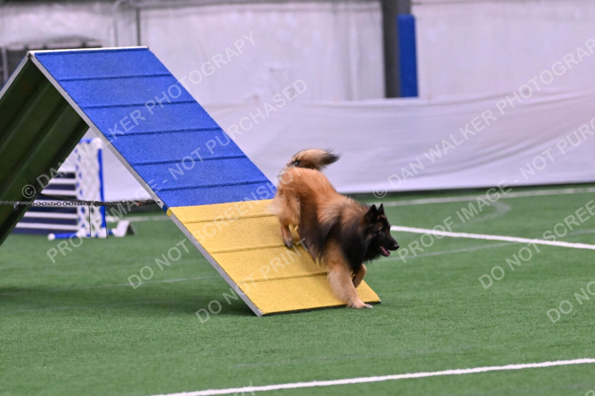 Tango-Sharon-Meek-09351