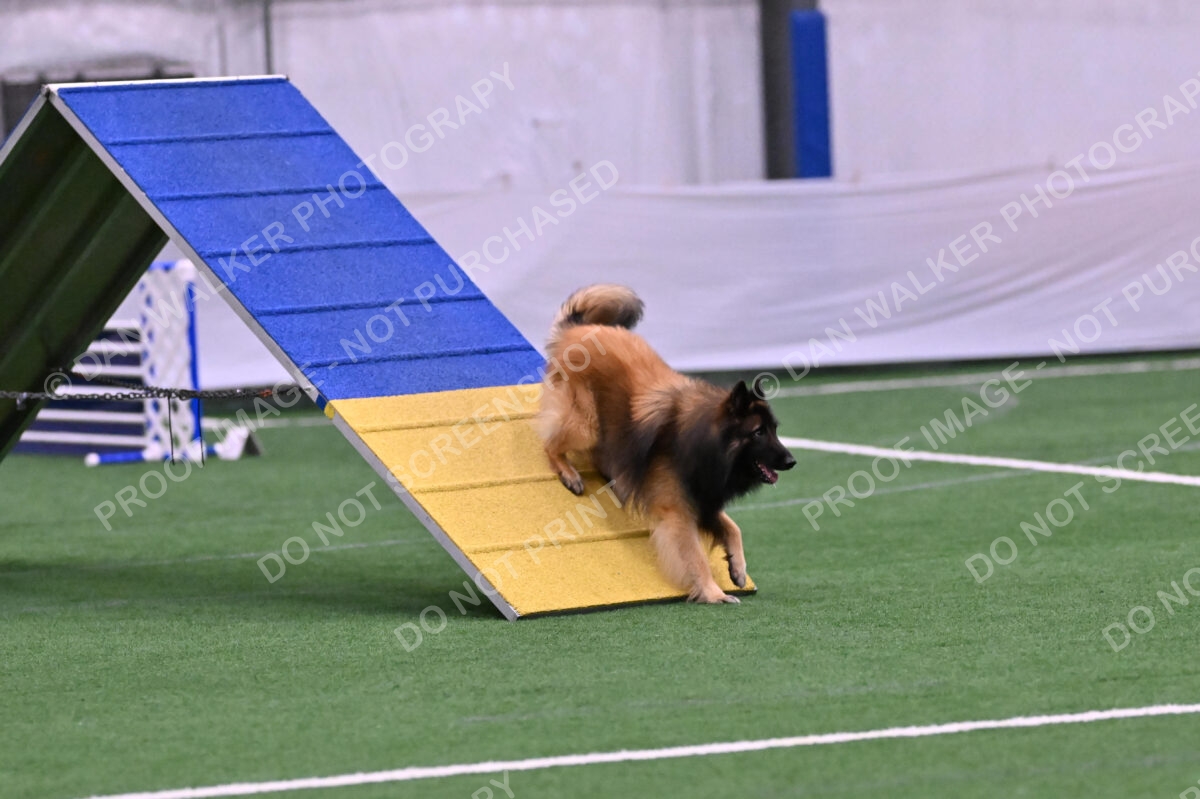 Tango-Sharon-Meek-09352