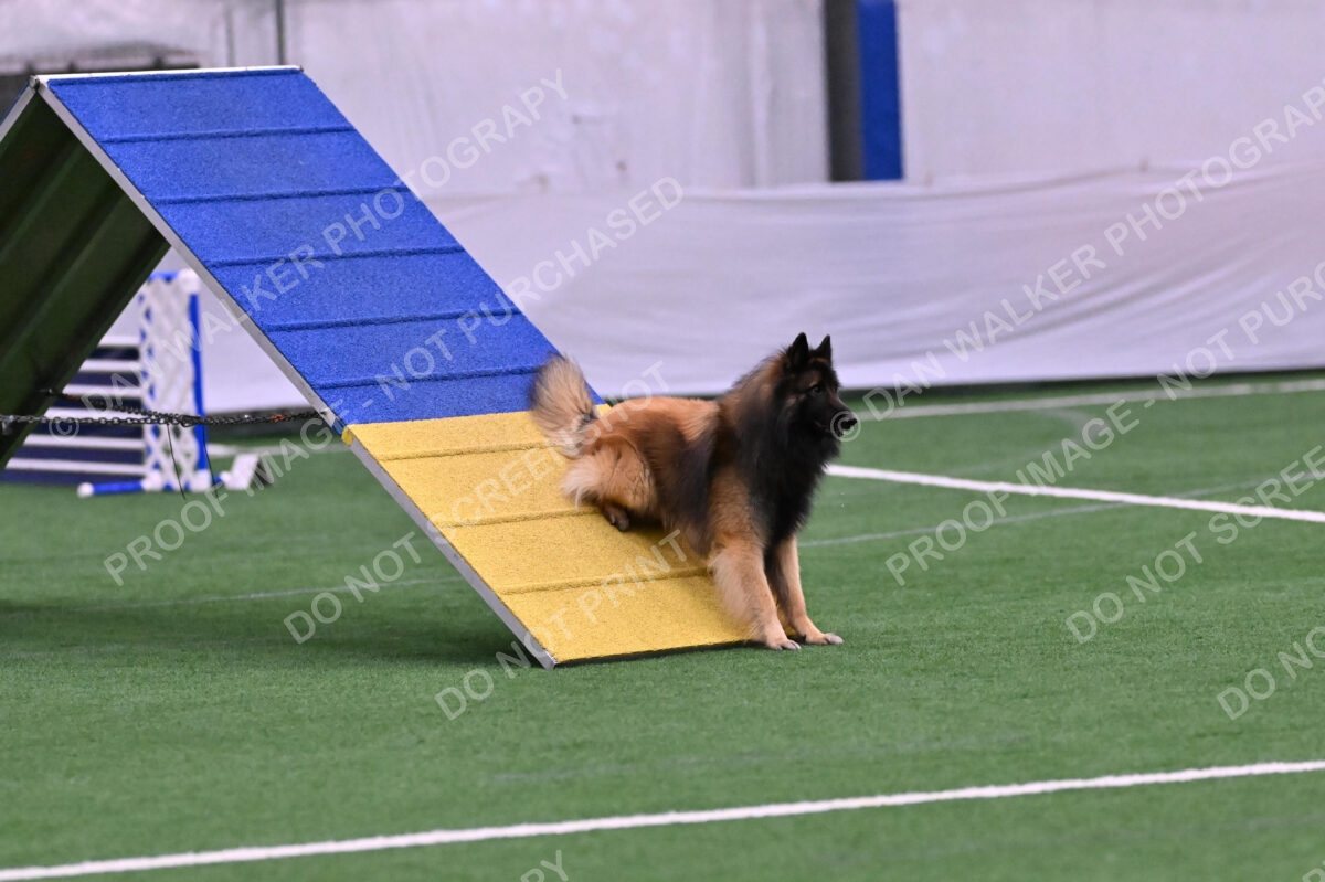 Tango-Sharon-Meek-09354