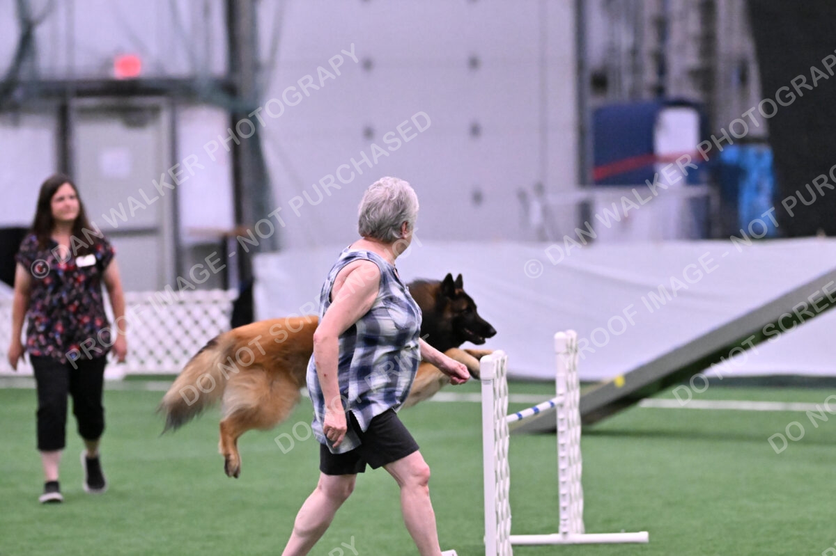 Tango-Sharon-Meek-09358