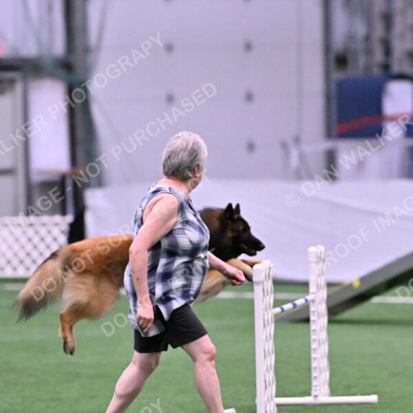 Tango-Sharon-Meek-09358