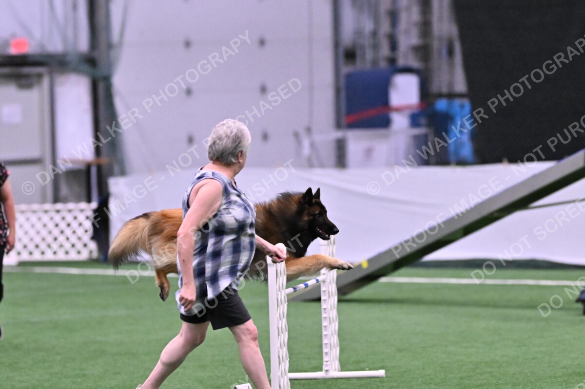 Tango-Sharon-Meek-09359