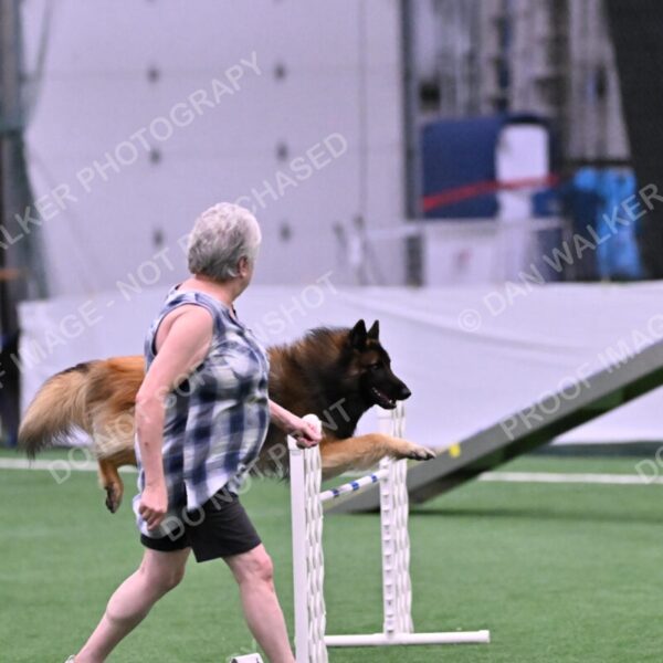 Tango-Sharon-Meek-09359