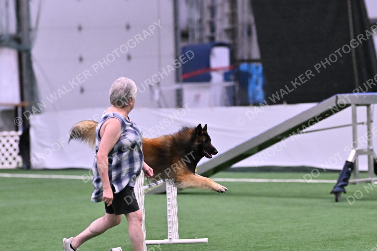 Tango-Sharon-Meek-09360